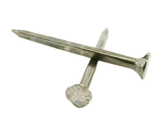 SEMENCE FRAISEE LION BLANCHE